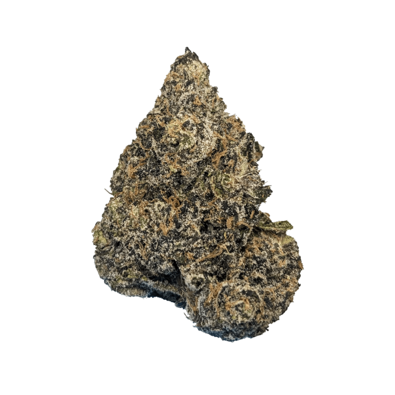 Philly S Best Dispensary  Why Bliss Dispensary Is the Go To Spot for Quality Cannabis